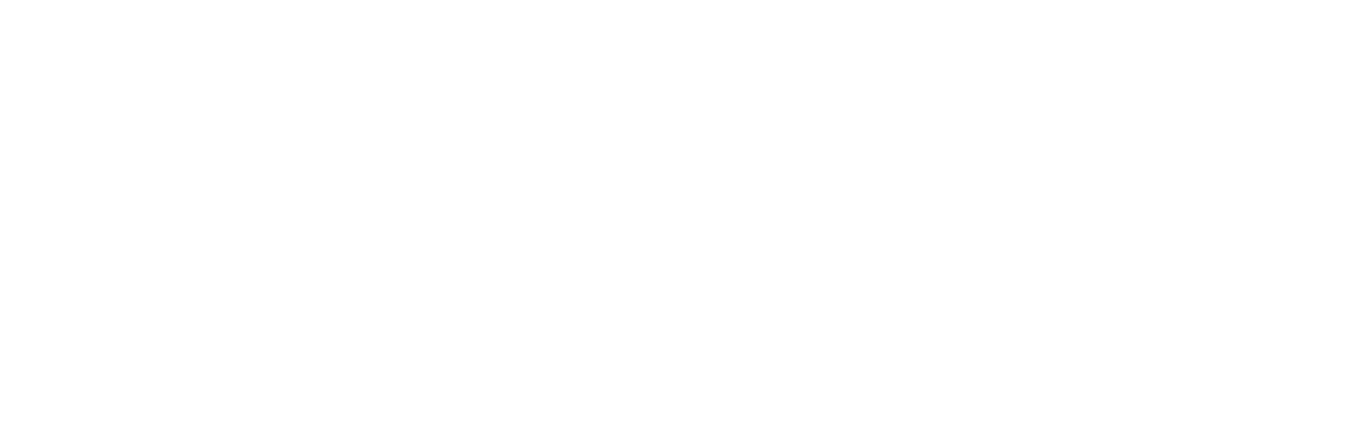 International Biochar Initiative